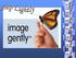 Image Gently Campaign Expands to Include Interventional Radiology